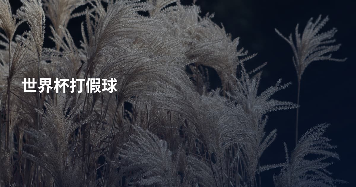世界杯打假球