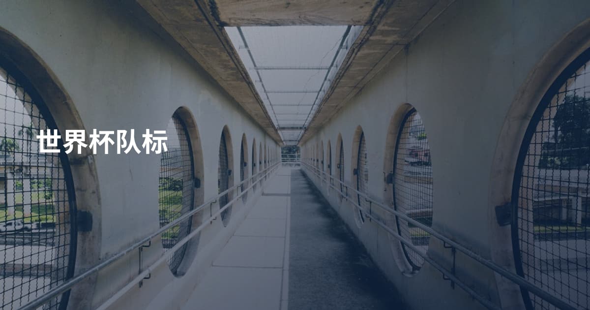世界杯队标