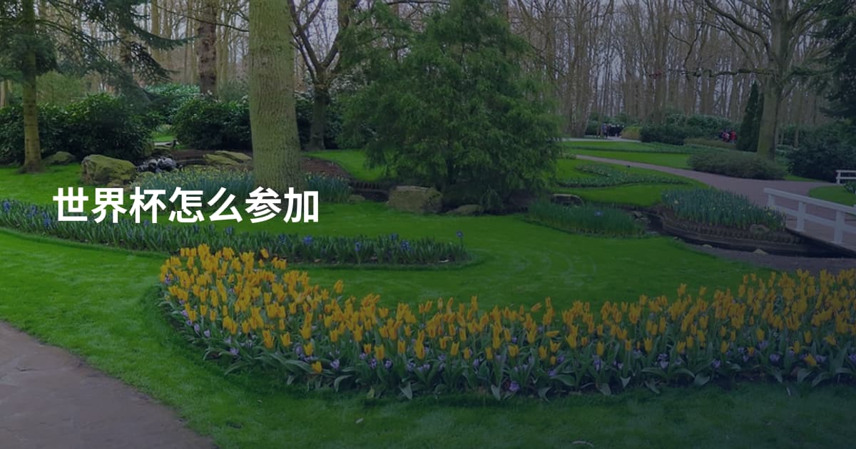 世界杯怎么参加