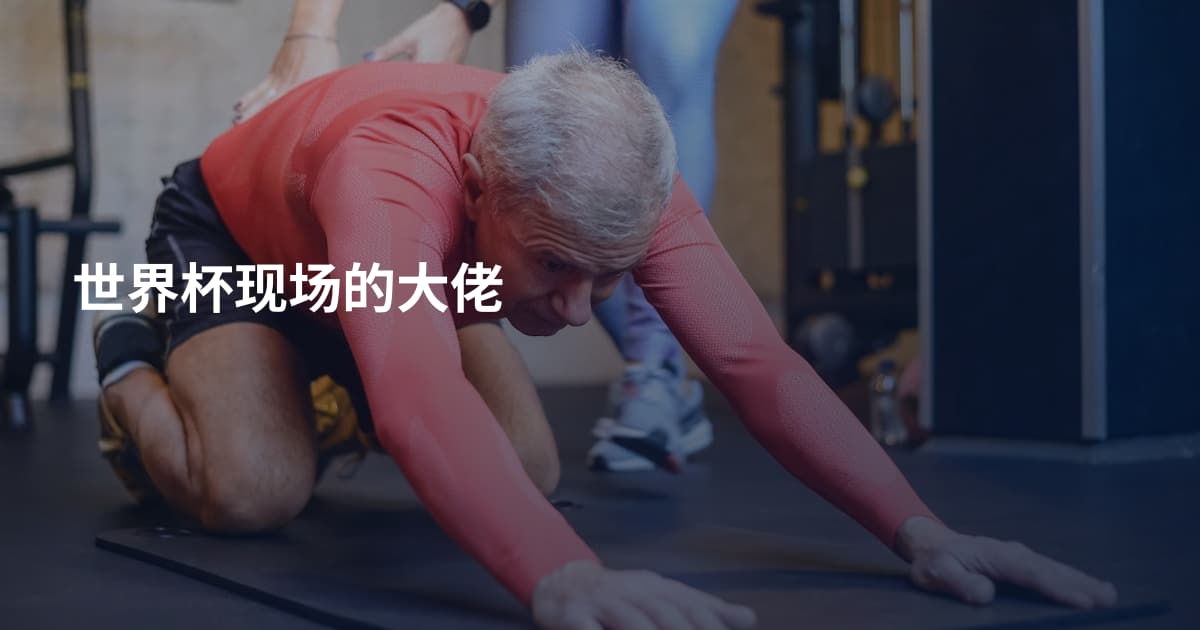 世界杯现场的大佬