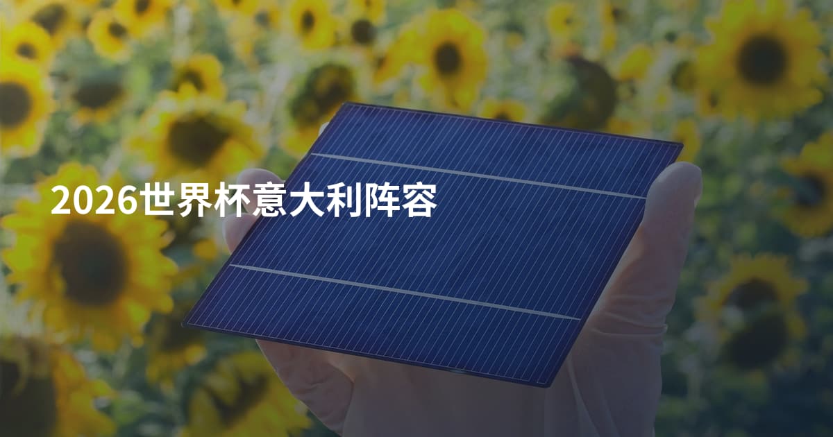 2026世界杯意大利阵容