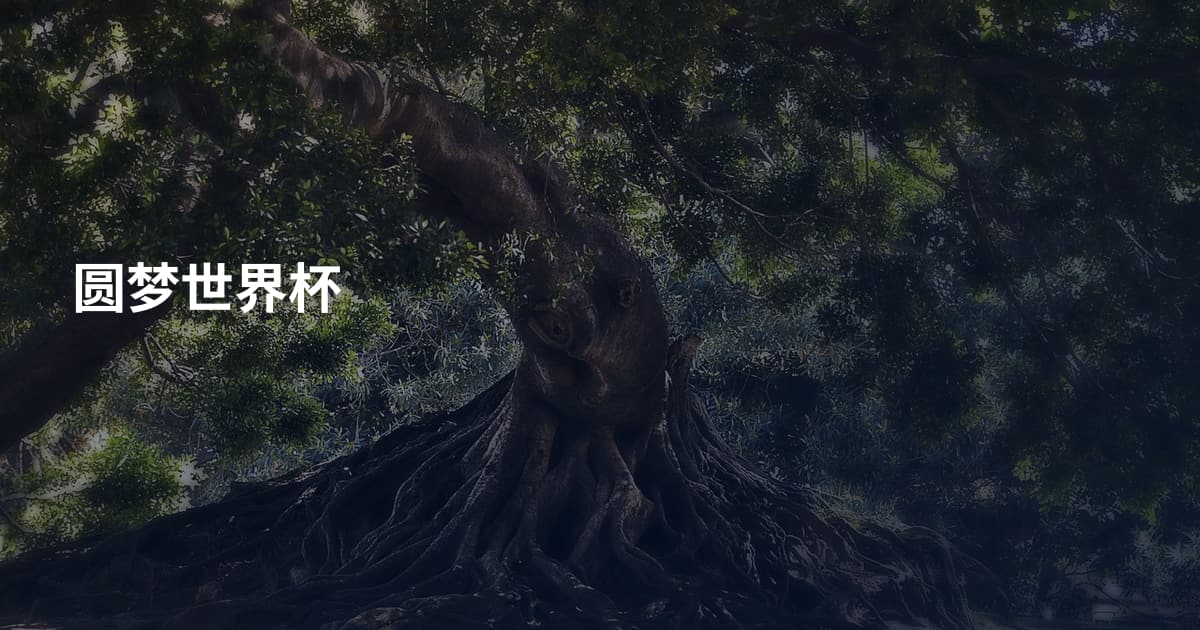 圆梦世界杯