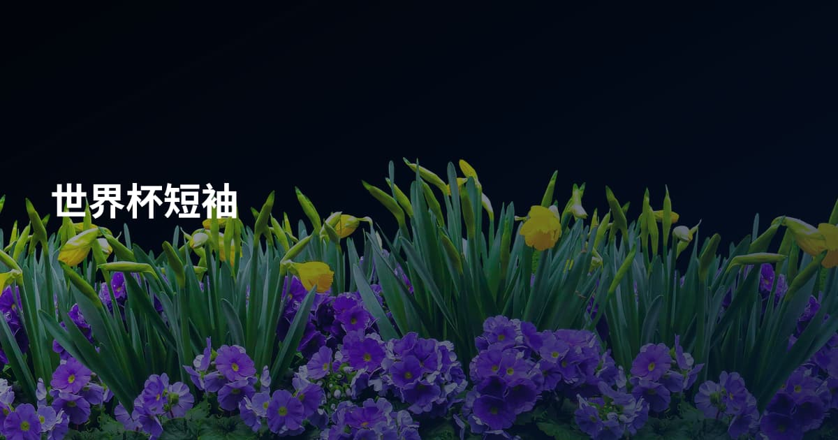 世界杯短袖