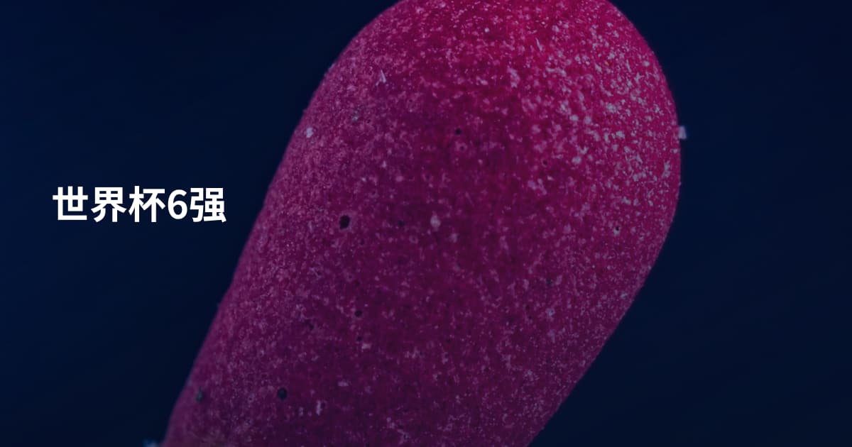 世界杯6强