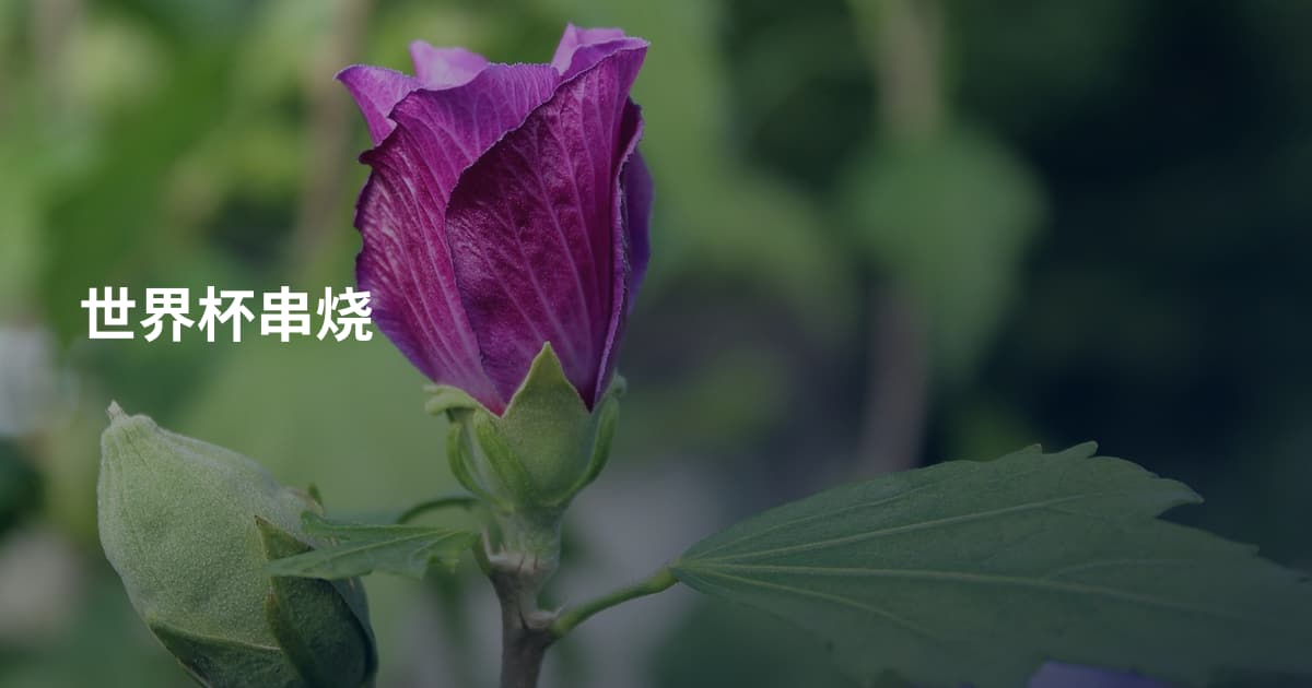 世界杯串烧