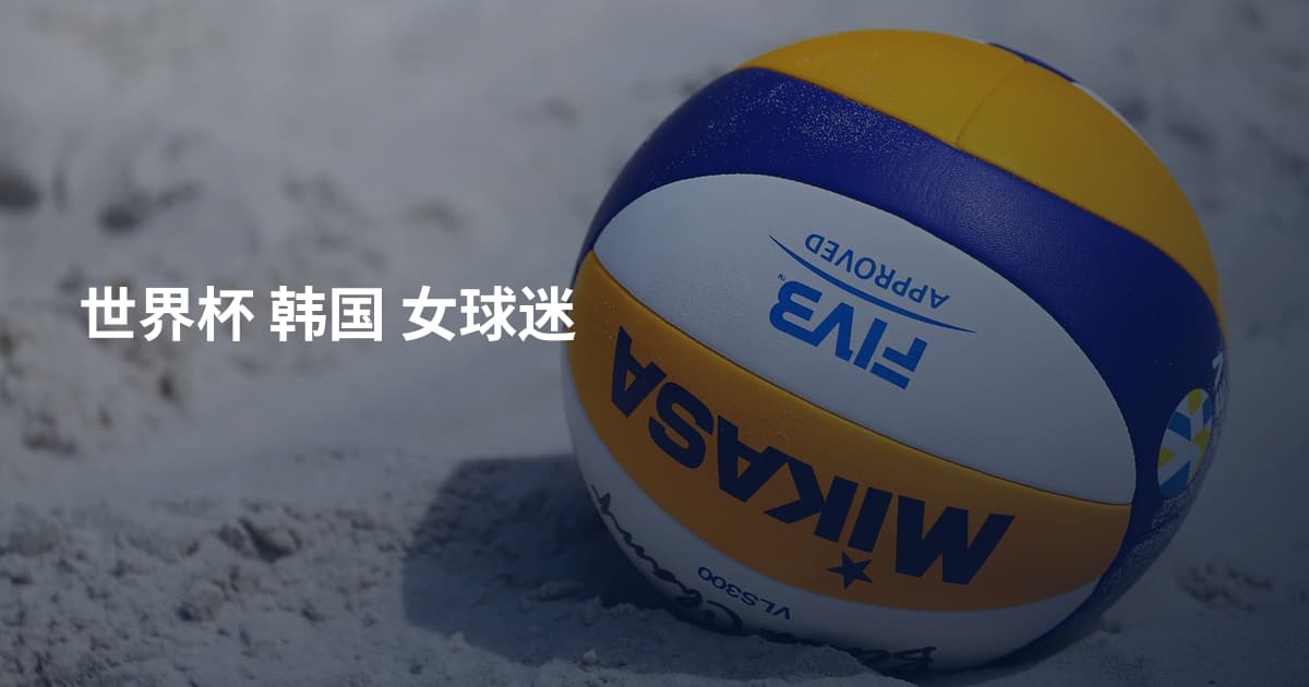世界杯 韩国 女球迷
