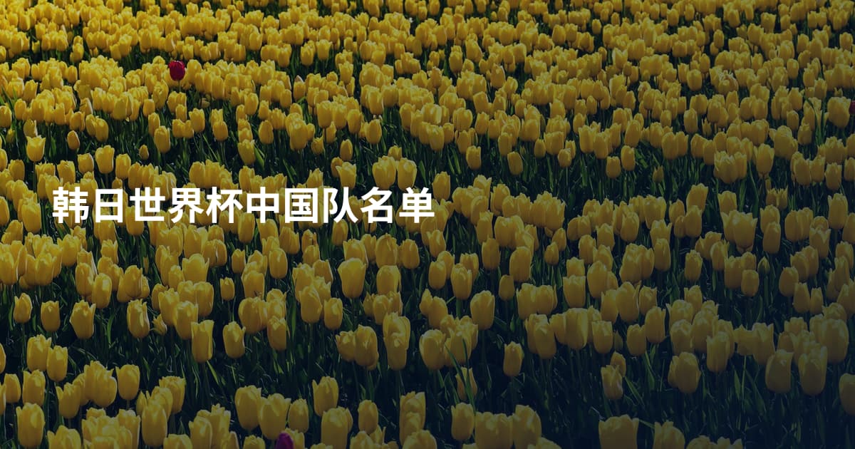 韩日世界杯中国队名单