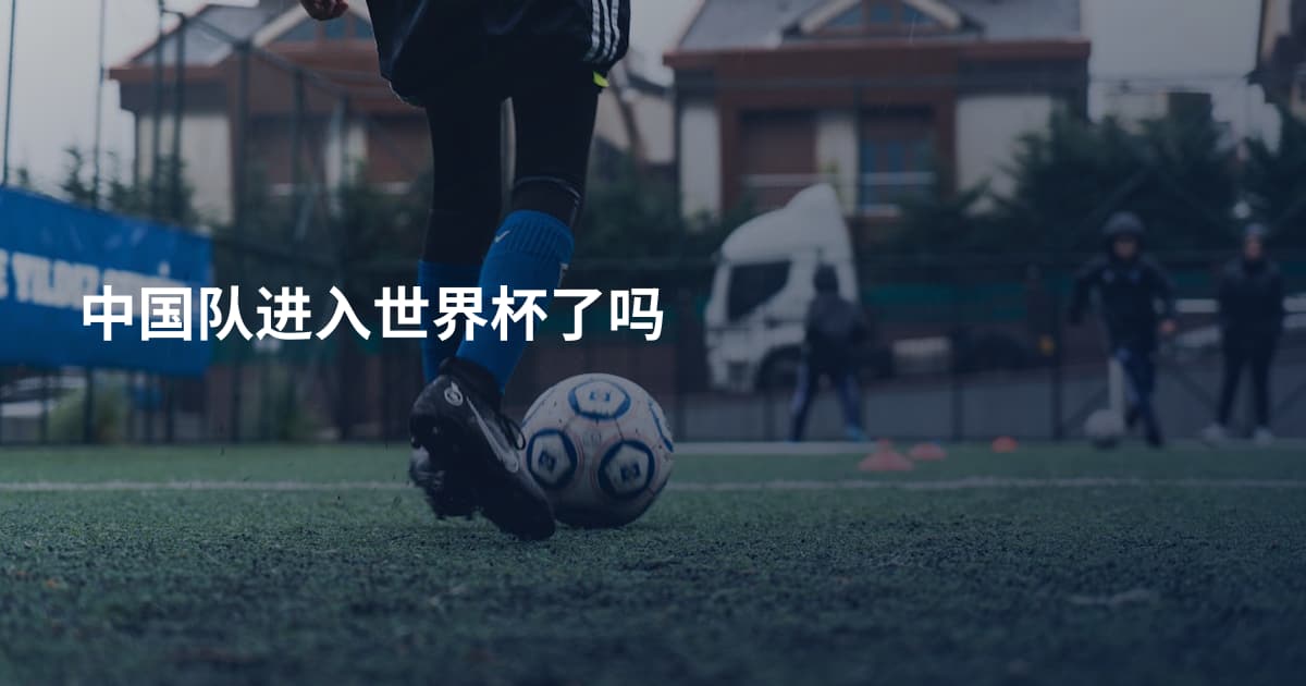 中国队进入世界杯了吗