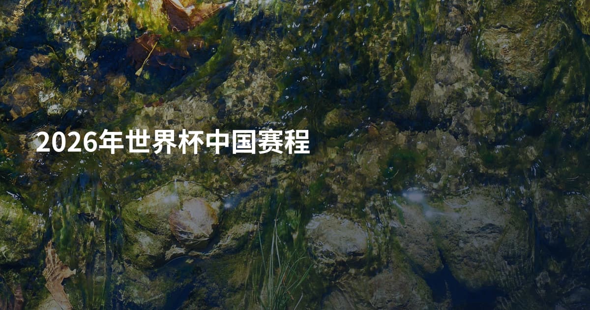 2026年世界杯中国赛程
