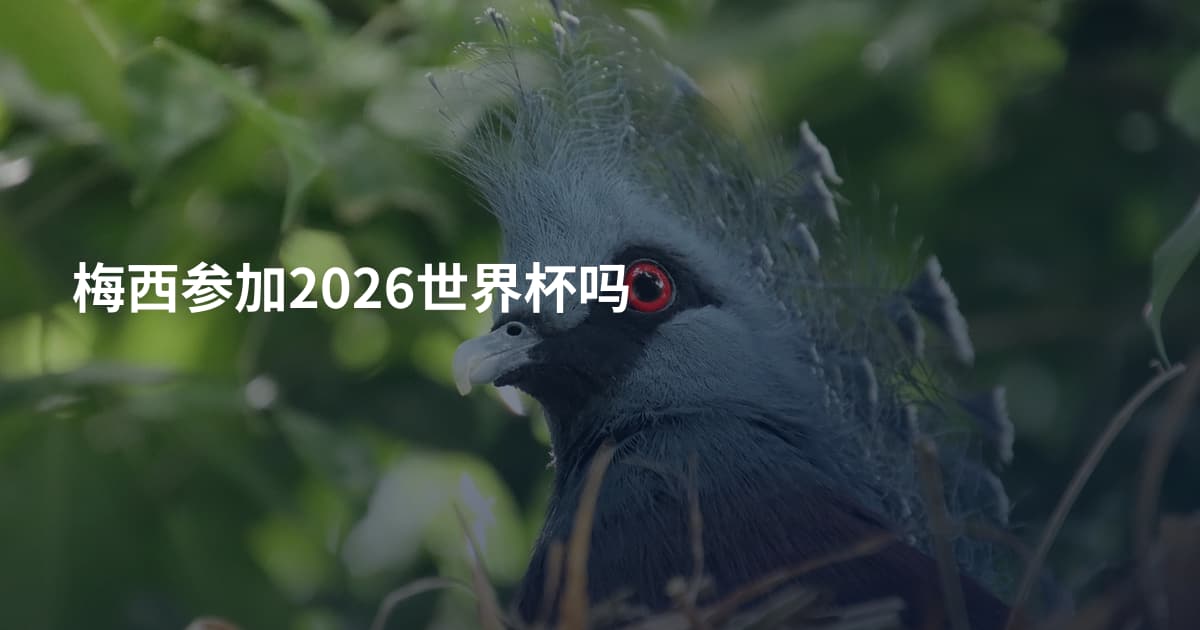 梅西参加2026世界杯吗