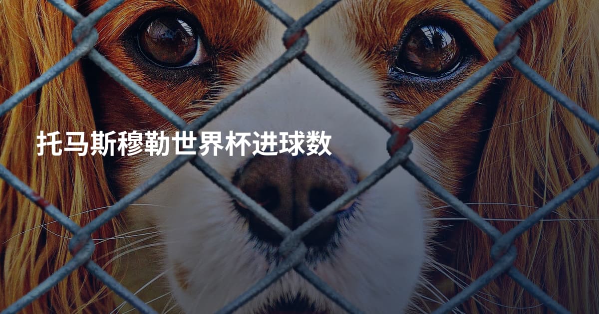 托马斯穆勒世界杯进球数