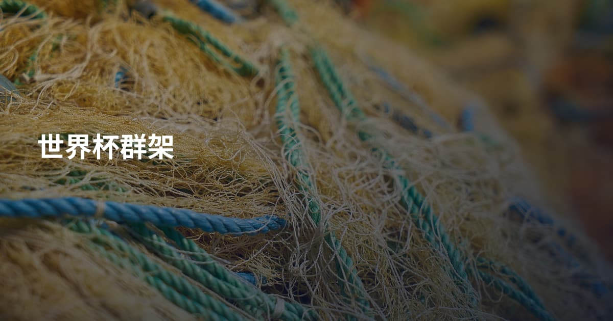世界杯群架