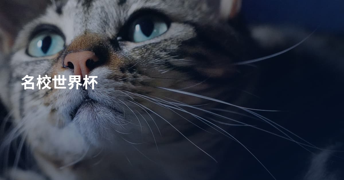 名校世界杯