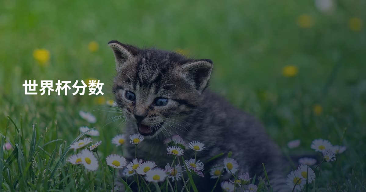 世界杯分数