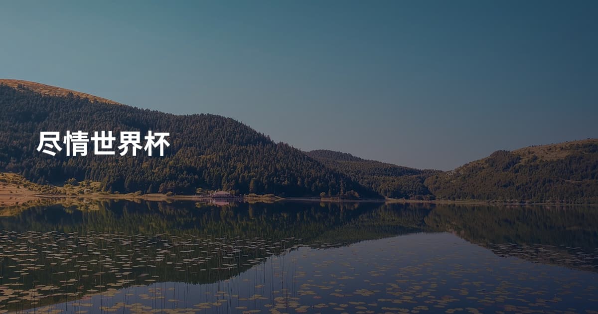 尽情世界杯