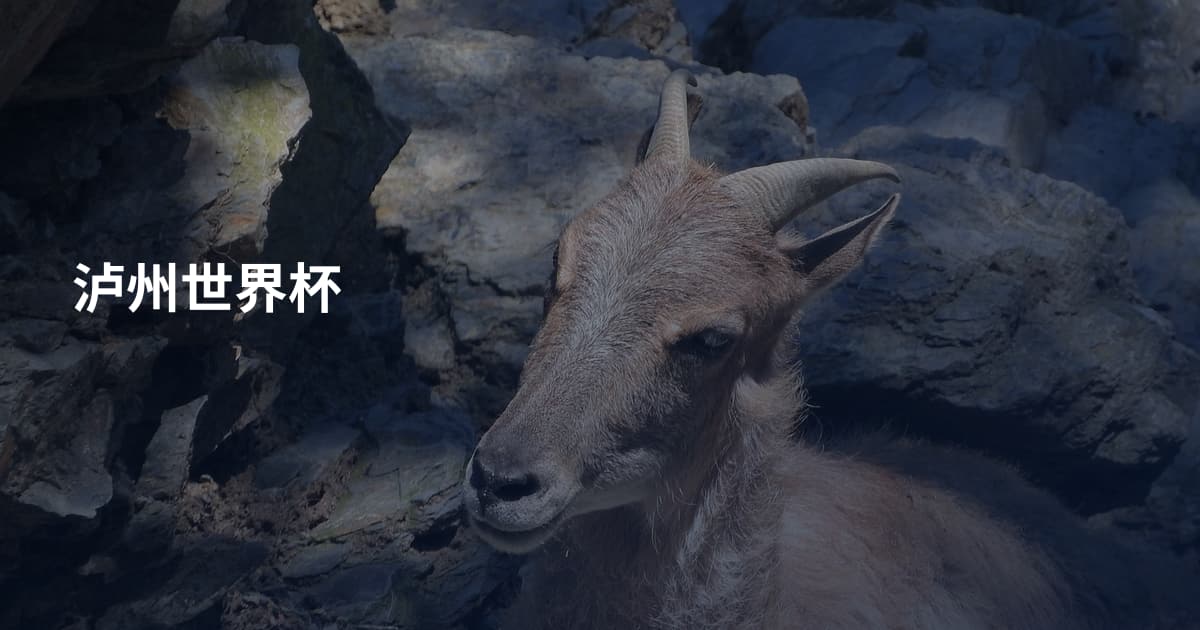 泸州世界杯
