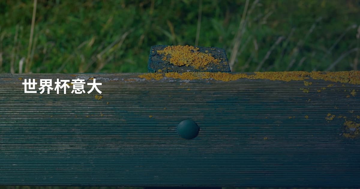 世界杯意大