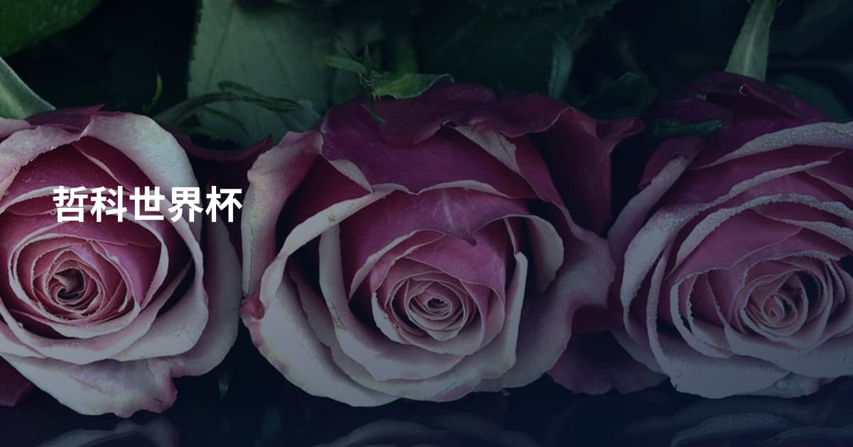 哲科世界杯