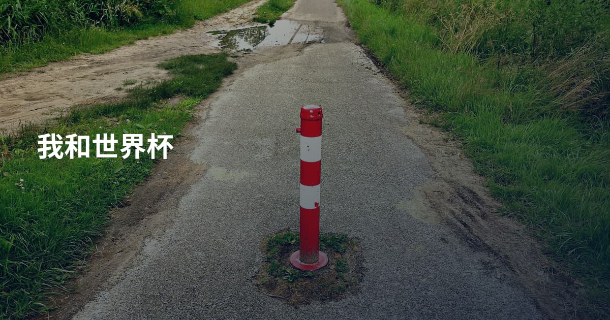 我和世界杯