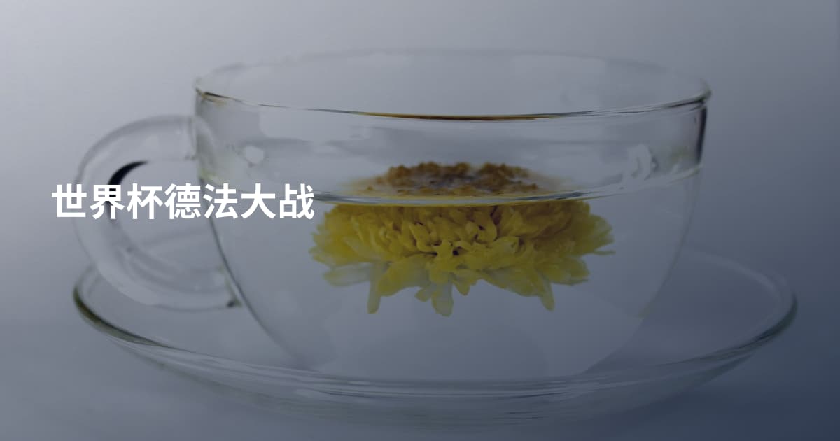 世界杯德法大战