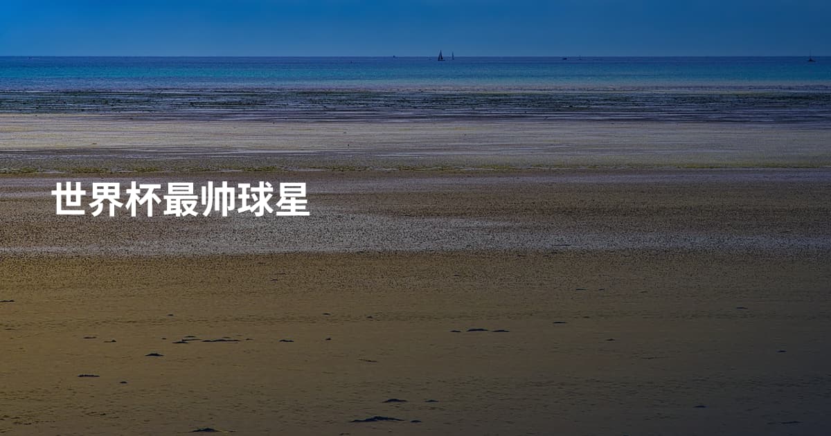世界杯最帅球星