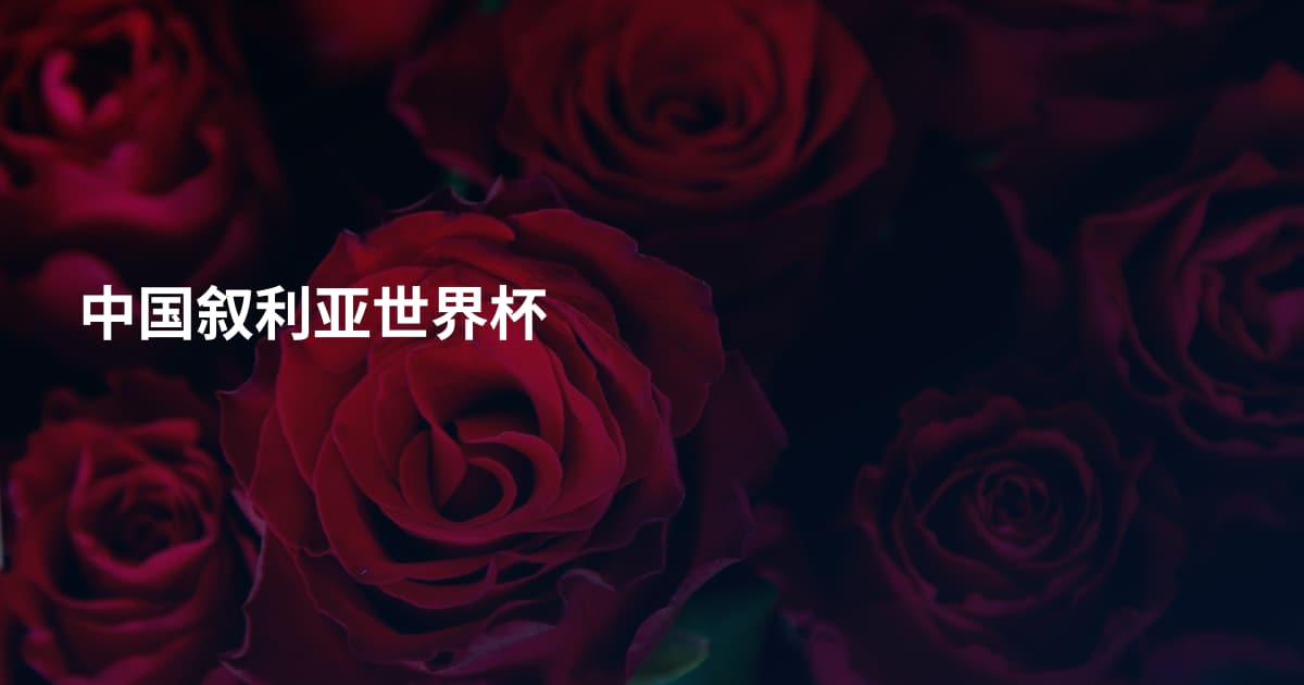 中国叙利亚世界杯