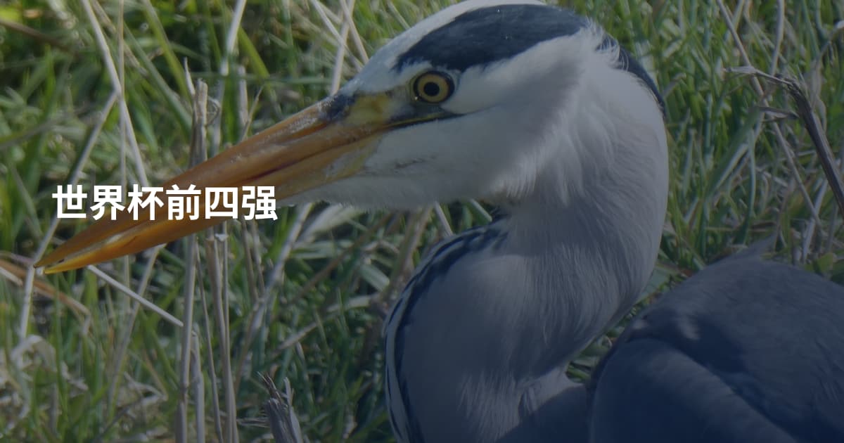 世界杯前四强