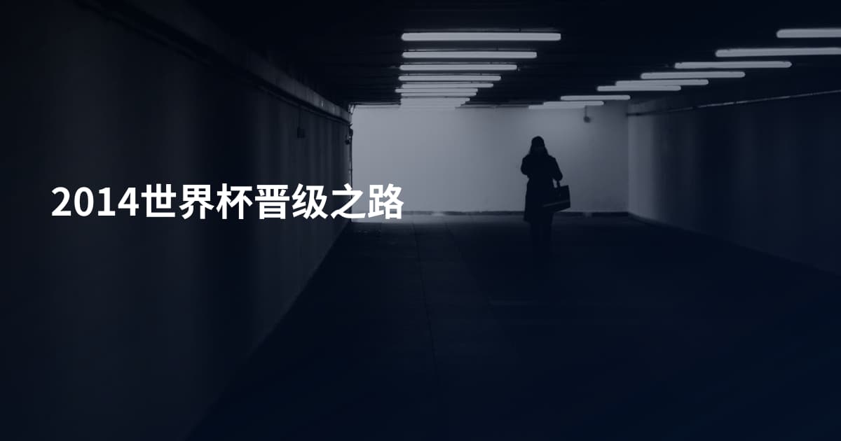 2014世界杯晋级之路