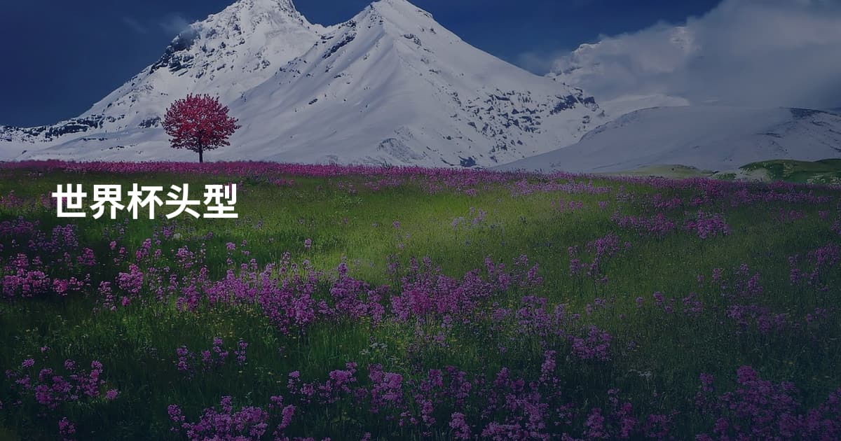 世界杯头型