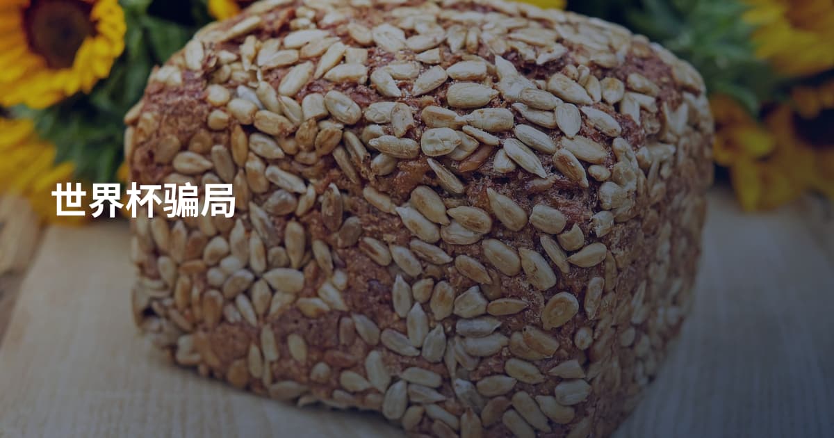 世界杯骗局