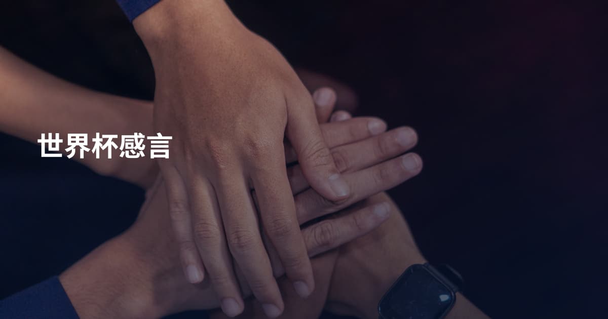 世界杯感言
