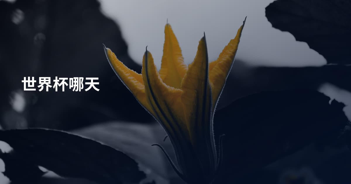 世界杯哪天