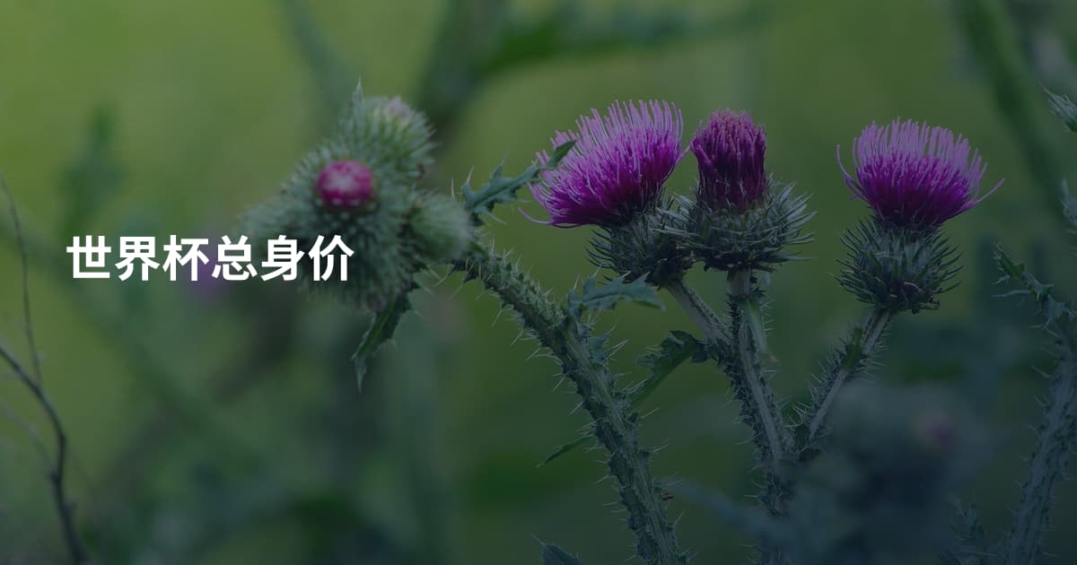 世界杯总身价