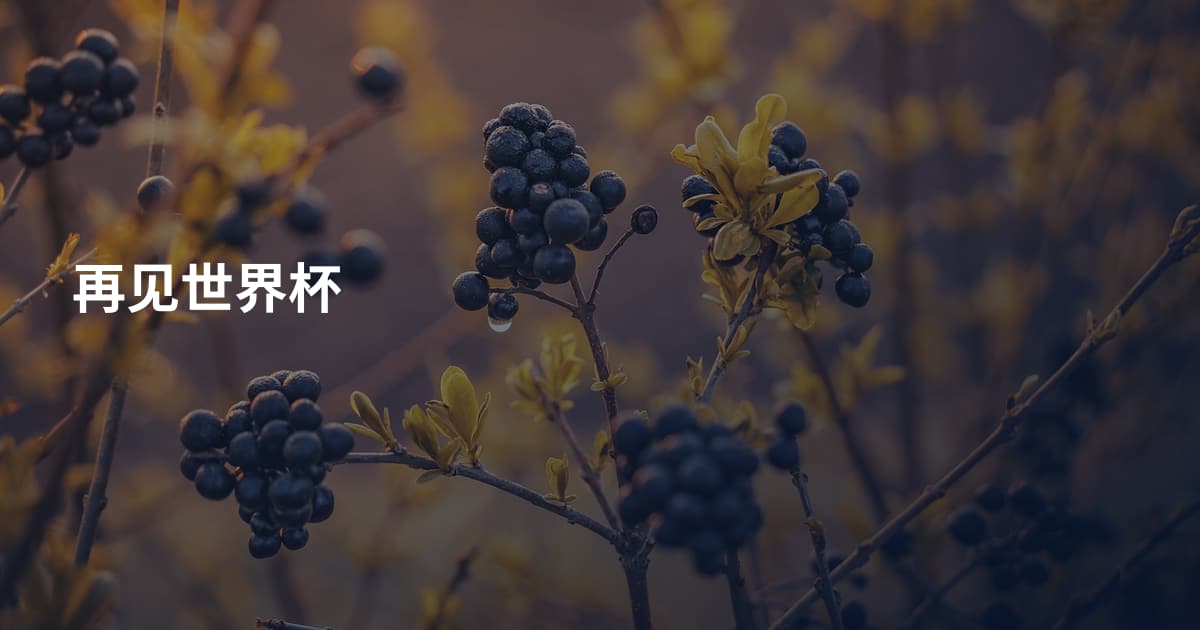 再见世界杯