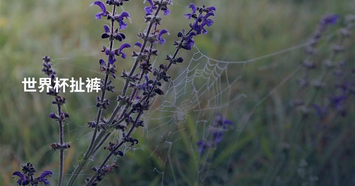 世界杯扯裤