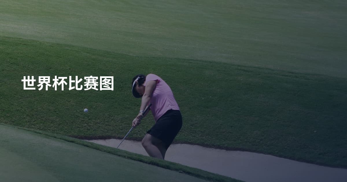 世界杯比赛图