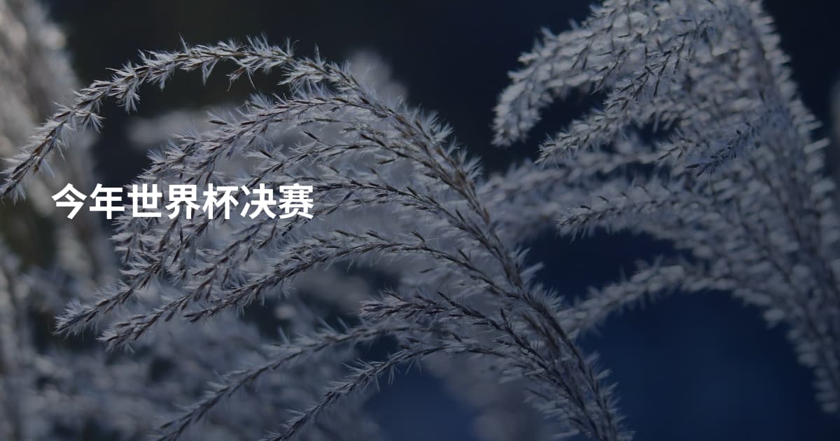今年世界杯决赛