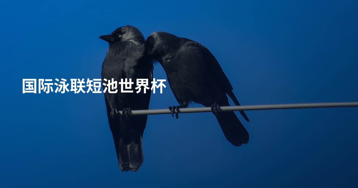 国际泳联短池世界杯