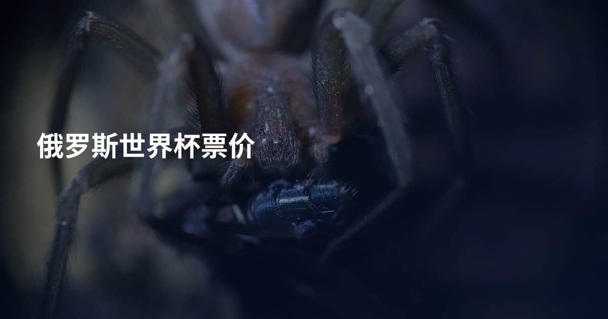 俄罗斯世界杯票价
