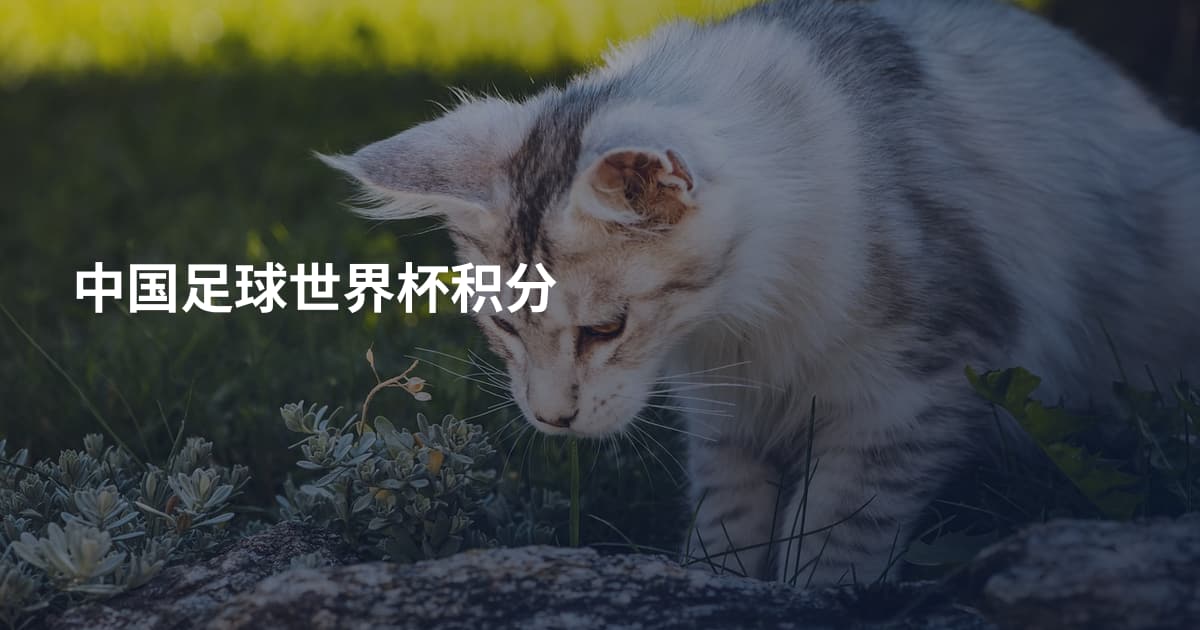 中国足球世界杯积分