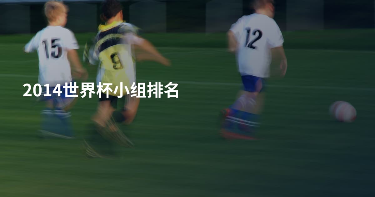 2014世界杯小组排名