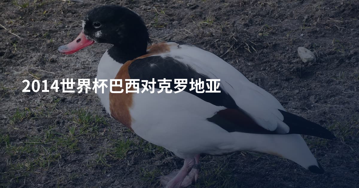 2014世界杯巴西对克罗地亚