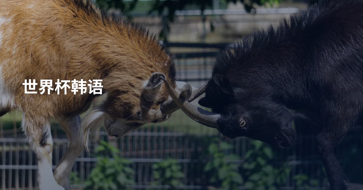 世界杯韩语