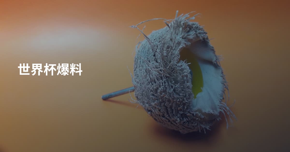 世界杯爆料