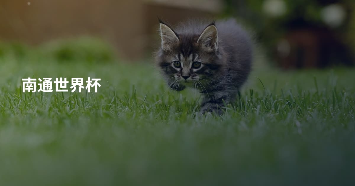 南通世界杯