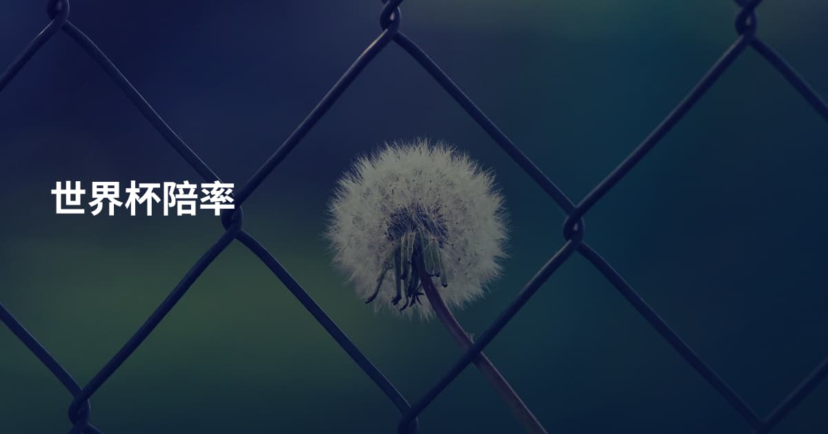 世界杯陪率