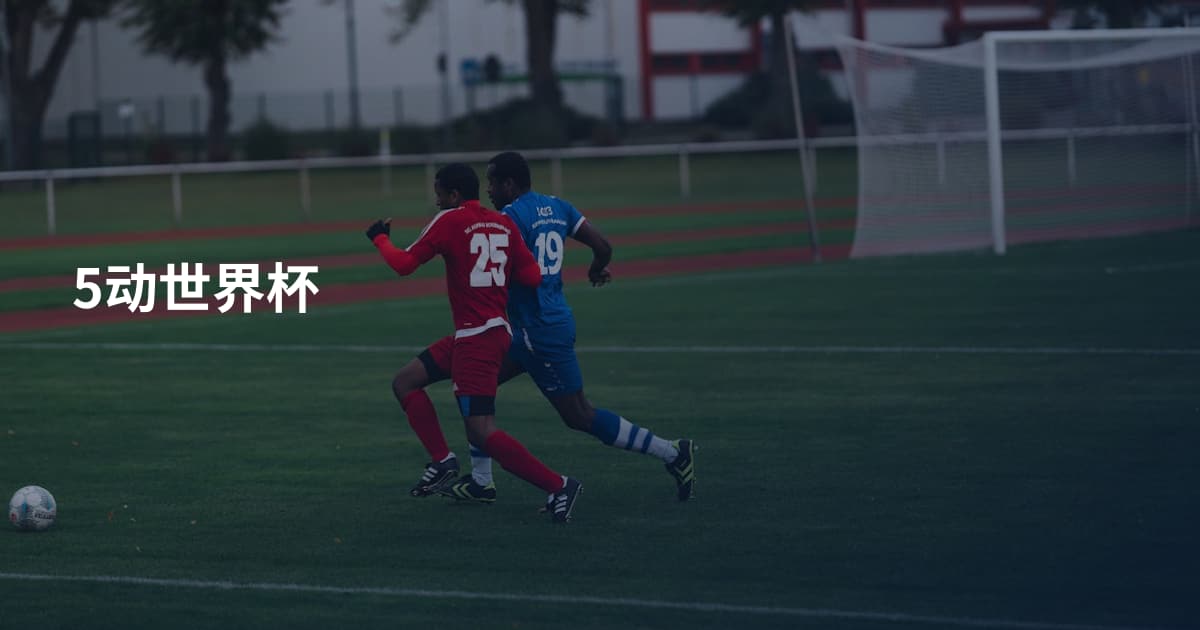 5动世界杯