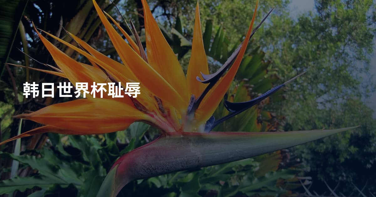 韩日世界杯耻辱