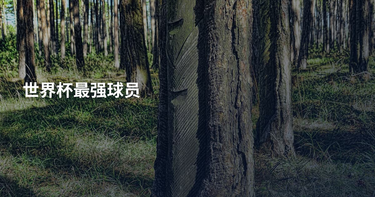 世界杯最强球员
