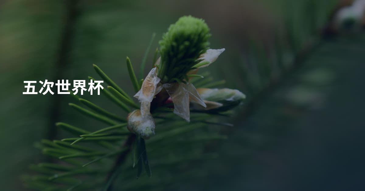 五次世界杯